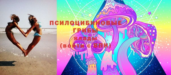 ECSTASY Медногорск