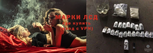 мяу мяу мука Магас