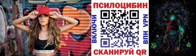 Псилоцибиновые грибы Psilocybine cubensis купить наркотики цена Заинск