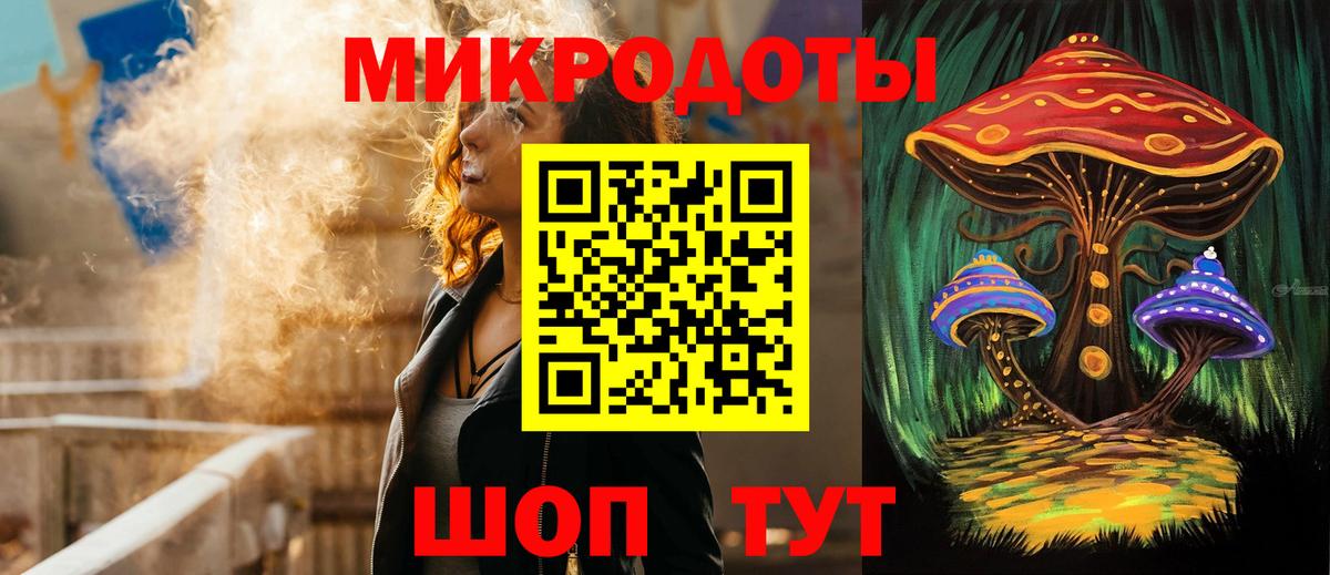 Псилоцибиновые грибы Psilocybe Заинск